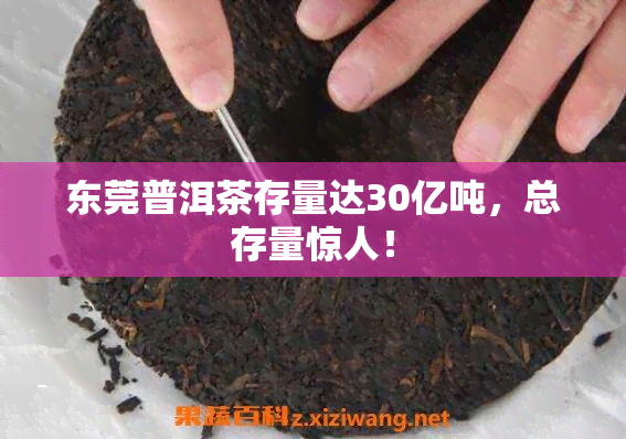 东莞普洱茶存量达30亿吨，总存量惊人！