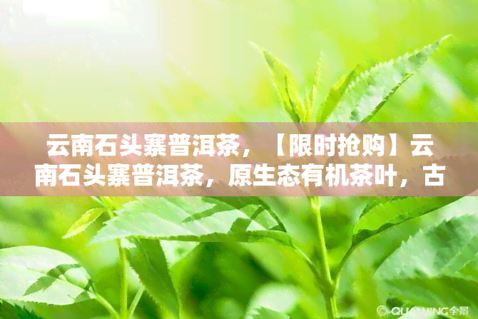 云南石头寨普洱茶，【限时抢购】云南石头寨普洱茶，原生态有机茶叶，古树老树头春茶，醇厚回，送礼佳品