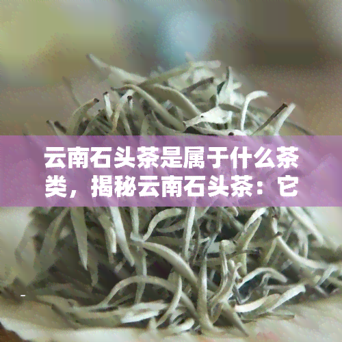 云南石头茶是属于什么茶类，揭秘云南石头茶：它属于哪一类茶？