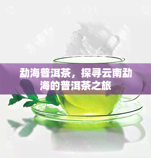 勐海普洱茶，探寻云南勐海的普洱茶之旅