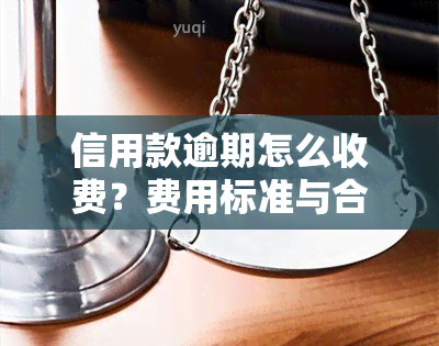 信用款逾期怎么收费？费用标准与合理性解析