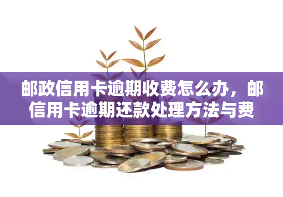 邮政信用卡逾期收费怎么办，邮信用卡逾期还款处理方法与费用解析