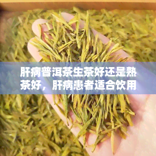 肝病普洱茶生茶好还是熟茶好，肝病患者适合饮用普洱茶的生茶还是熟茶？