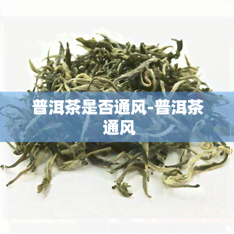 普洱茶是否通风-普洱茶 通风