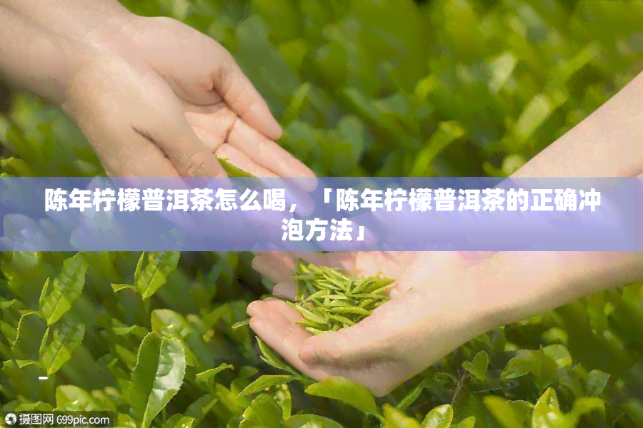 陈年柠檬普洱茶怎么喝，「陈年柠檬普洱茶的正确冲泡方法」