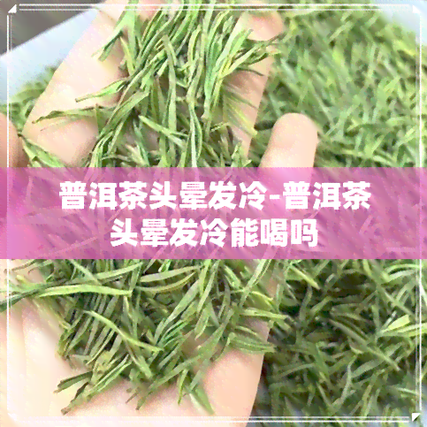 普洱茶头晕发冷-普洱茶头晕发冷能喝吗