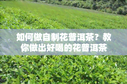 如何做自制花普洱茶？教你做出好喝的花普洱茶