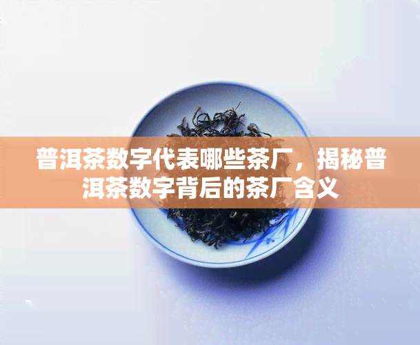 普洱茶数字代表哪些茶厂，揭秘普洱茶数字背后的茶厂含义