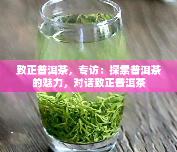 致正普洱茶，专访：探索普洱茶的魅力，对话致正普洱茶