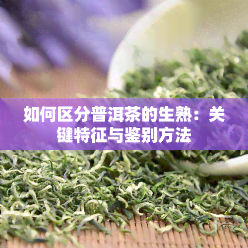 如何区分普洱茶的生熟：关键特征与鉴别方法