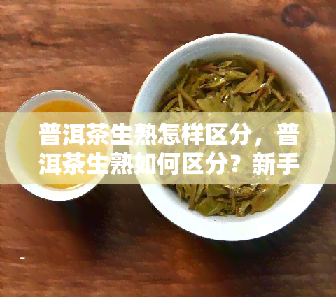 普洱茶生熟怎样区分，普洱茶生熟如何区分？新手必看的辨别方法！