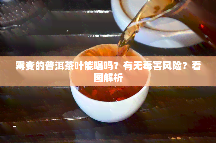 霉变的普洱茶叶能喝吗？有无害风险？看图解析