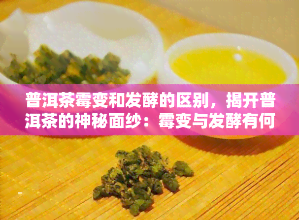 普洱茶霉变和发酵的区别，揭开普洱茶的神秘面纱：霉变与发酵有何不同？