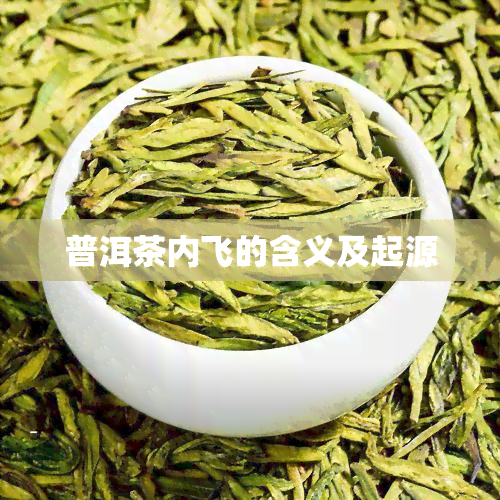 普洱茶内飞的含义及起源