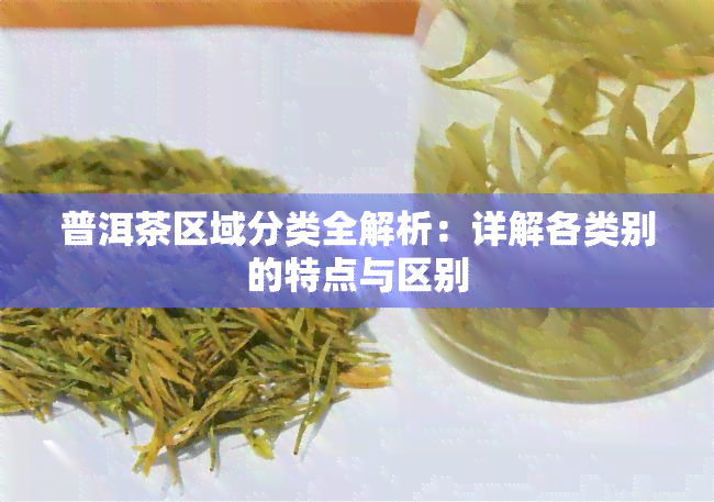 普洱茶区域分类全解析：详解各类别的特点与区别