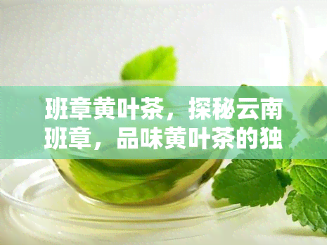 班章黄叶茶，探秘云南班章，品味黄叶茶的独特魅力