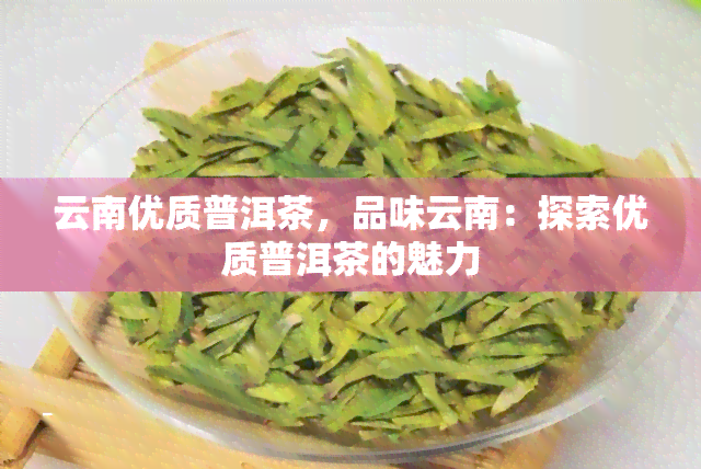 云南优质普洱茶，品味云南：探索优质普洱茶的魅力