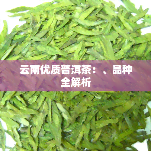 云南优质普洱茶：、品种全解析