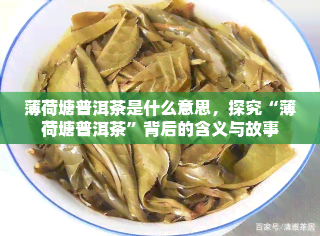 薄荷塘普洱茶是什么意思，探究“薄荷塘普洱茶”背后的含义与故事