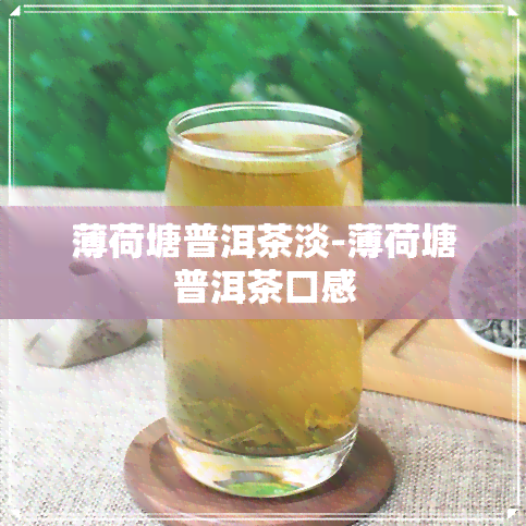 薄荷塘普洱茶淡-薄荷塘普洱茶口感