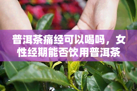 普洱茶痛经可以喝吗，女性经期能否饮用普洱茶？解析其痛经功效