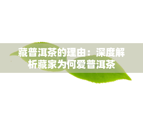 藏普洱茶的理由：深度解析藏家为何爱普洱茶