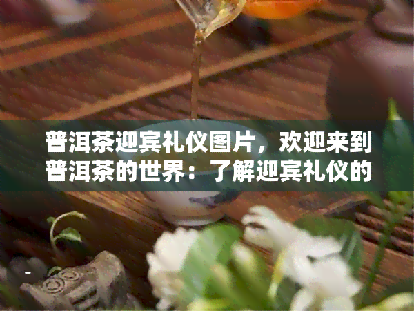 普洱茶迎宾礼仪图片，欢迎来到普洱茶的世界：了解迎宾礼仪的图片指南