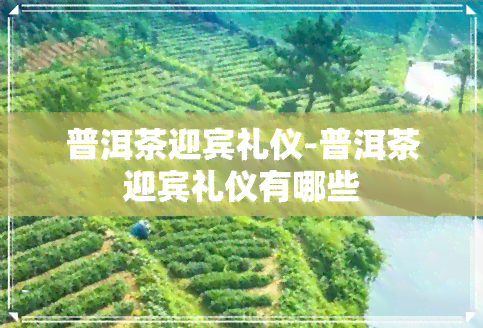 普洱茶迎宾礼仪-普洱茶迎宾礼仪有哪些