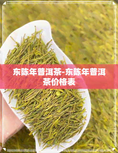 东陈年普洱茶-东陈年普洱茶价格表