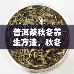 普洱茶秋冬养生方法，秋冬养生必备：普洱茶的正确饮用方式与功效解析