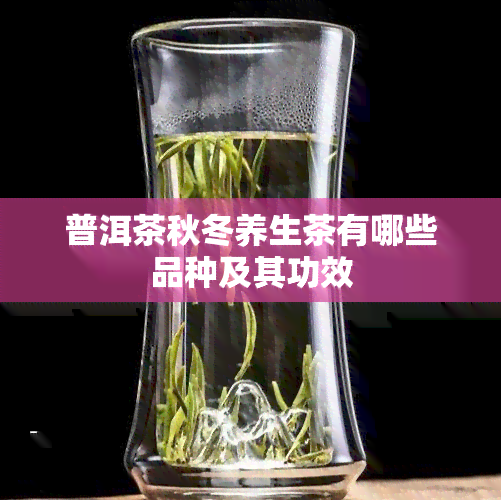 普洱茶秋冬养生茶有哪些品种及其功效