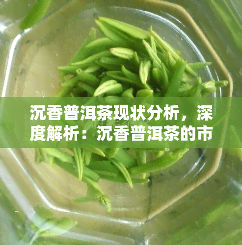 沉香普洱茶现状分析，深度解析：沉香普洱茶的市场现状与发展趋势