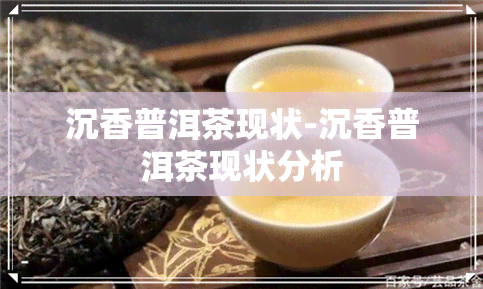 沉香普洱茶现状-沉香普洱茶现状分析