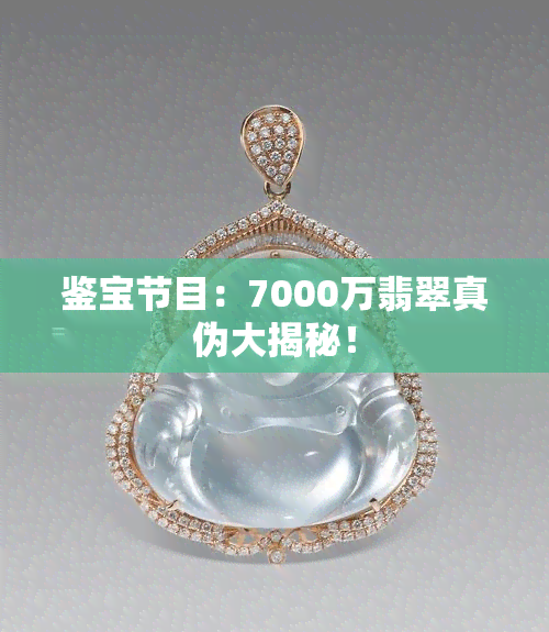 鉴宝节目：7000万翡翠真伪大揭秘！