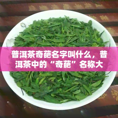 普洱茶奇葩名字叫什么，普洱茶中的“奇葩”名称大盘点