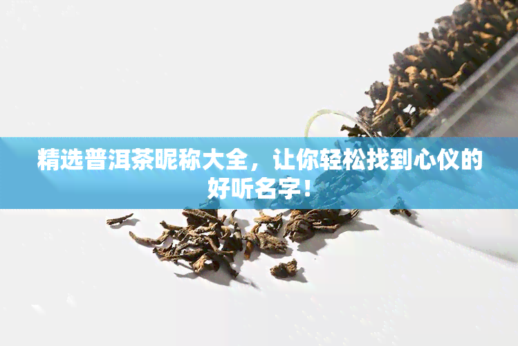 精选普洱茶昵称大全，让你轻松找到心仪的好听名字！