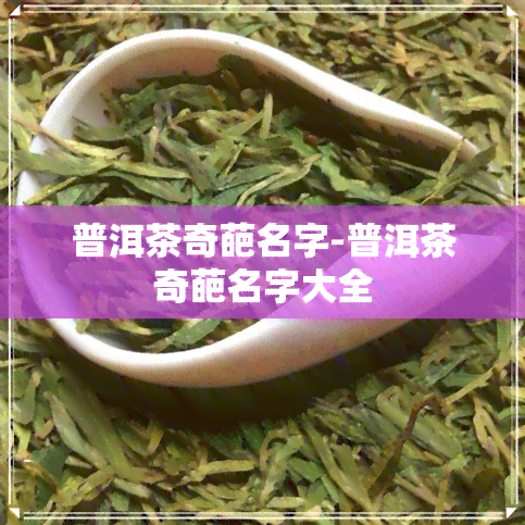 普洱茶奇葩名字-普洱茶奇葩名字大全