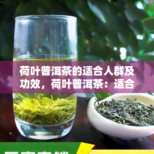 荷叶普洱茶的适合人群及功效，荷叶普洱茶：适合人群与神奇功效解析