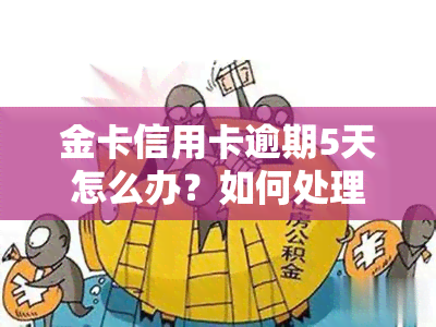 金卡信用卡逾期5天怎么办？如何处理逾期问题？