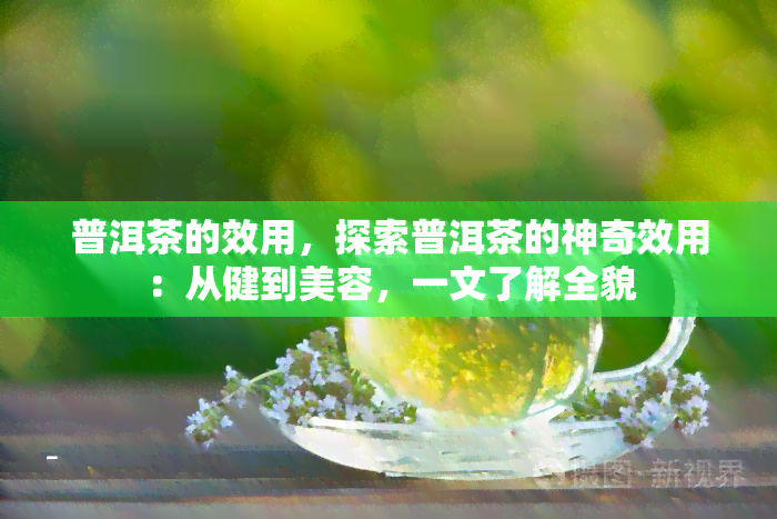 普洱茶的效用，探索普洱茶的神奇效用：从健到美容，一文了解全貌