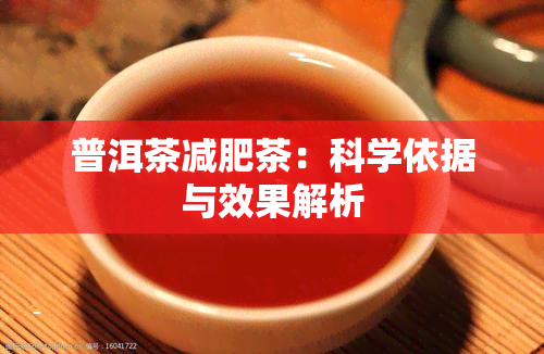 普洱茶减肥茶：科学依据与效果解析