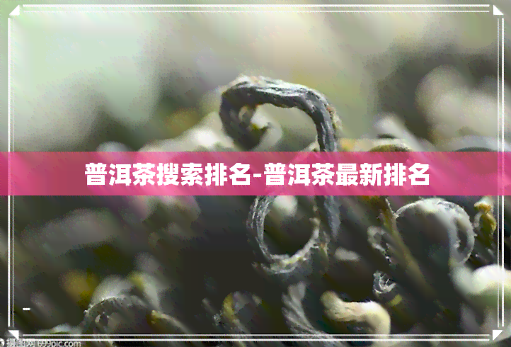 普洱茶搜索排名-普洱茶最新排名