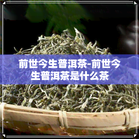 前世今生普洱茶-前世今生普洱茶是什么茶