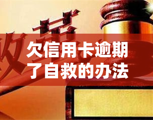 欠信用卡逾期了自救的办法，信用卡逾期怎么办？自救攻略全解析！