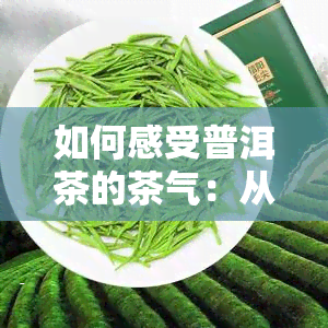 如何感受普洱茶的茶气：从气息到感觉的全面解析