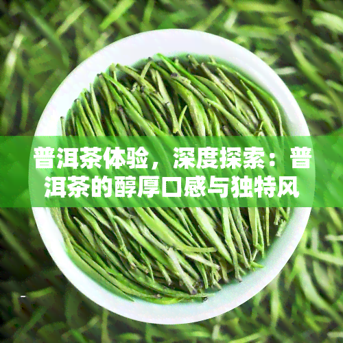 普洱茶体验，深度探索：普洱茶的醇厚口感与独特风味体验