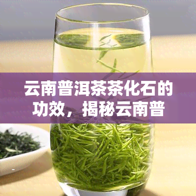 云南普洱茶茶化石的功效，揭秘云南普洱茶茶化石的神奇功效！