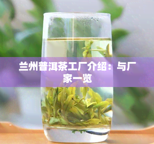 兰州普洱茶工厂介绍：与厂家一览