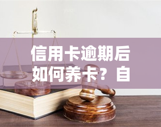 信用卡逾期后如何养卡？自救指南与还款方法