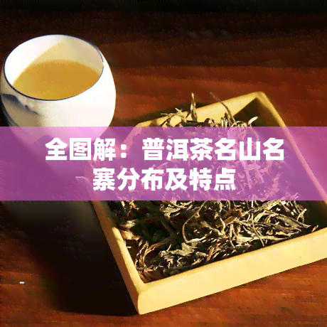 全图解：普洱茶名山名寨分布及特点